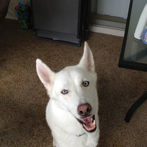 Meet your Posher, Jay